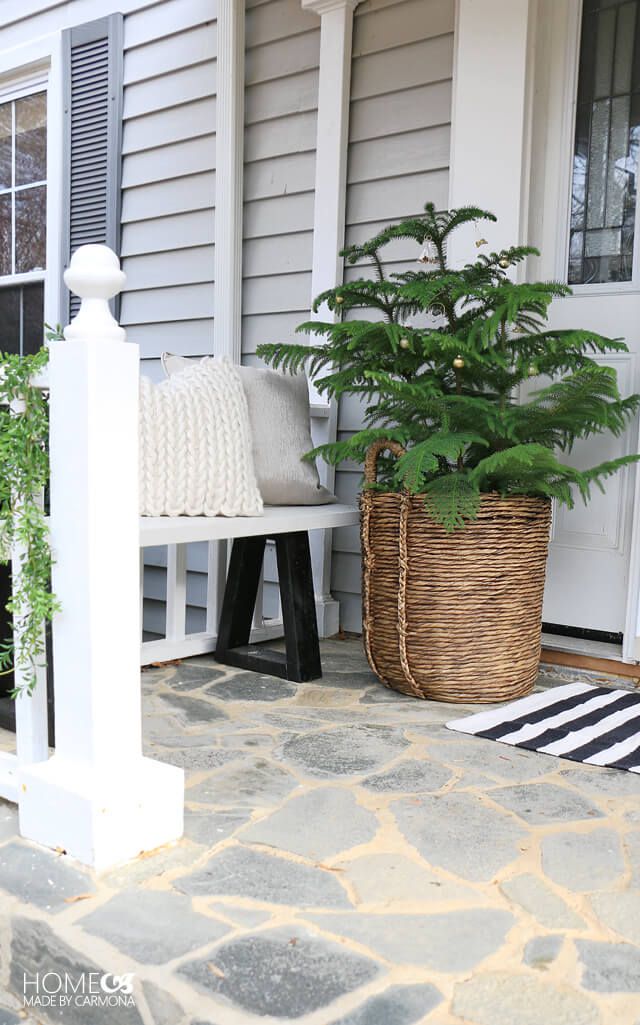 Veranda mit einer Bank und einem kleinen Baum in einem Korb