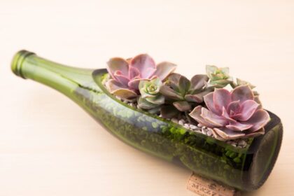 1731917845 26 Ways to Reuse Your Empty Wine Bottles