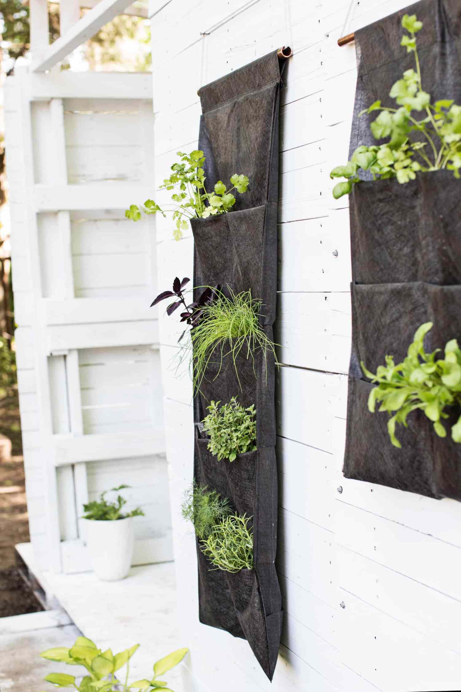 small backyard vertical garden ideas