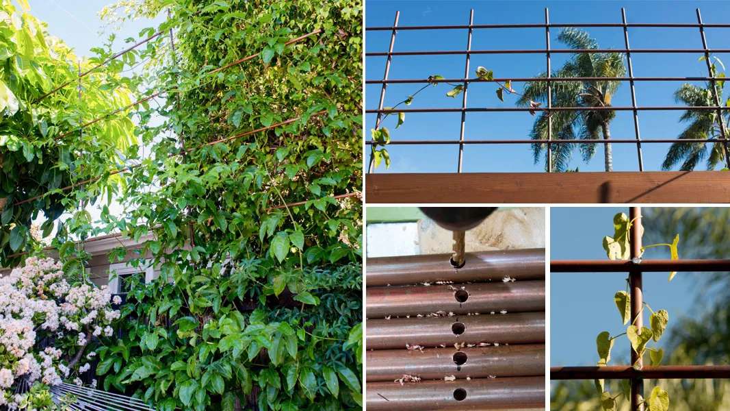 DIY-Spalier-Ideen