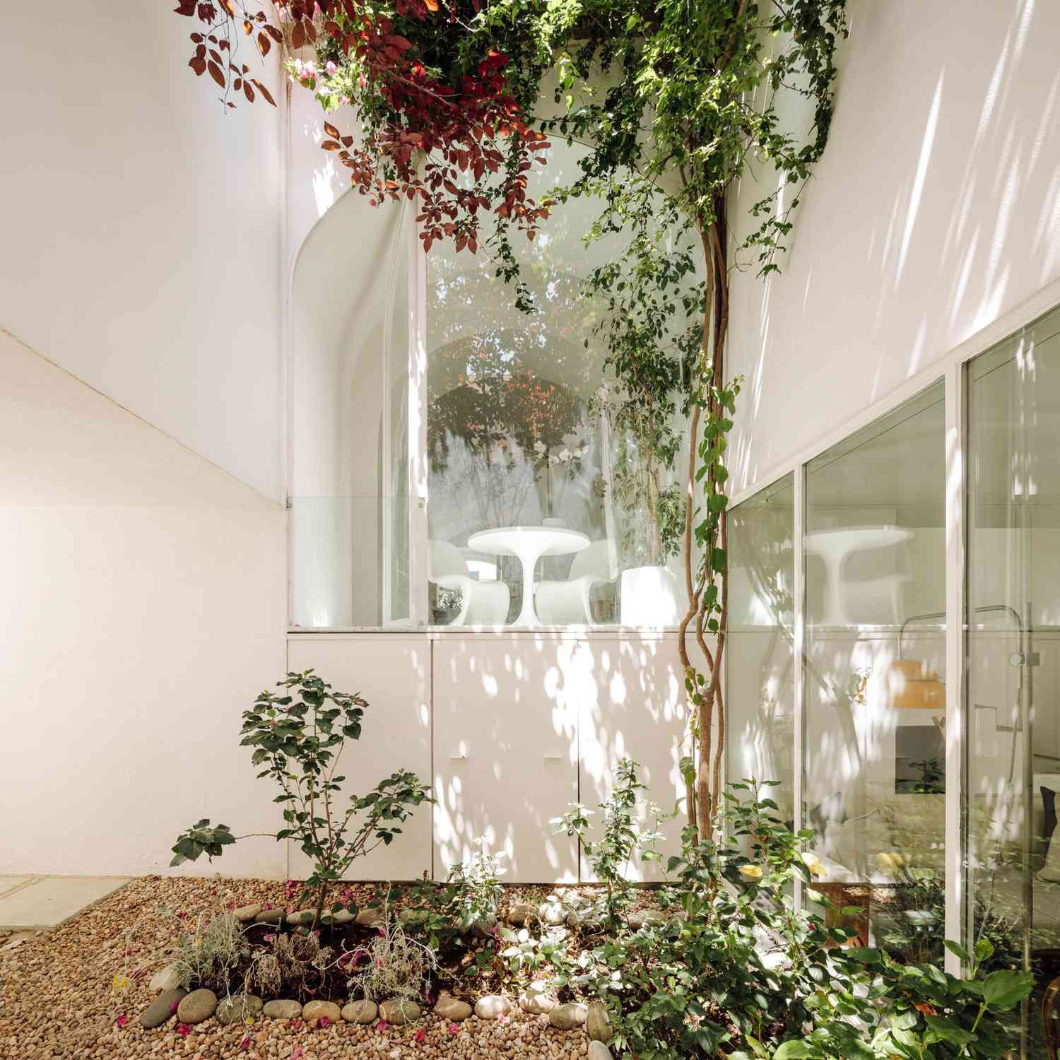 courtyard ideas