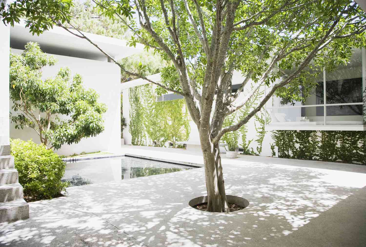 courtyard ideas