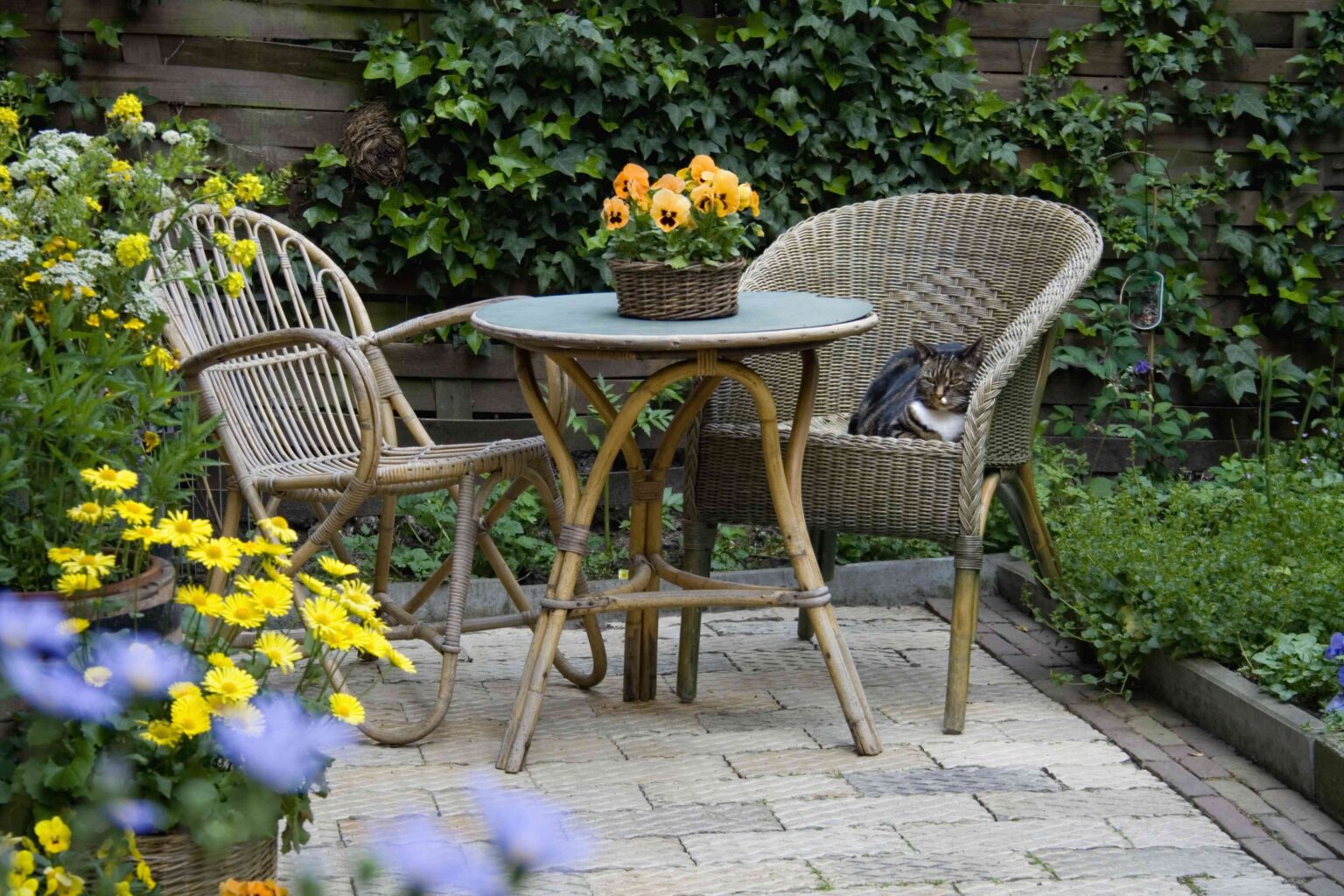 1736237791 Veranda vs Terrasse Hauptunterschiede