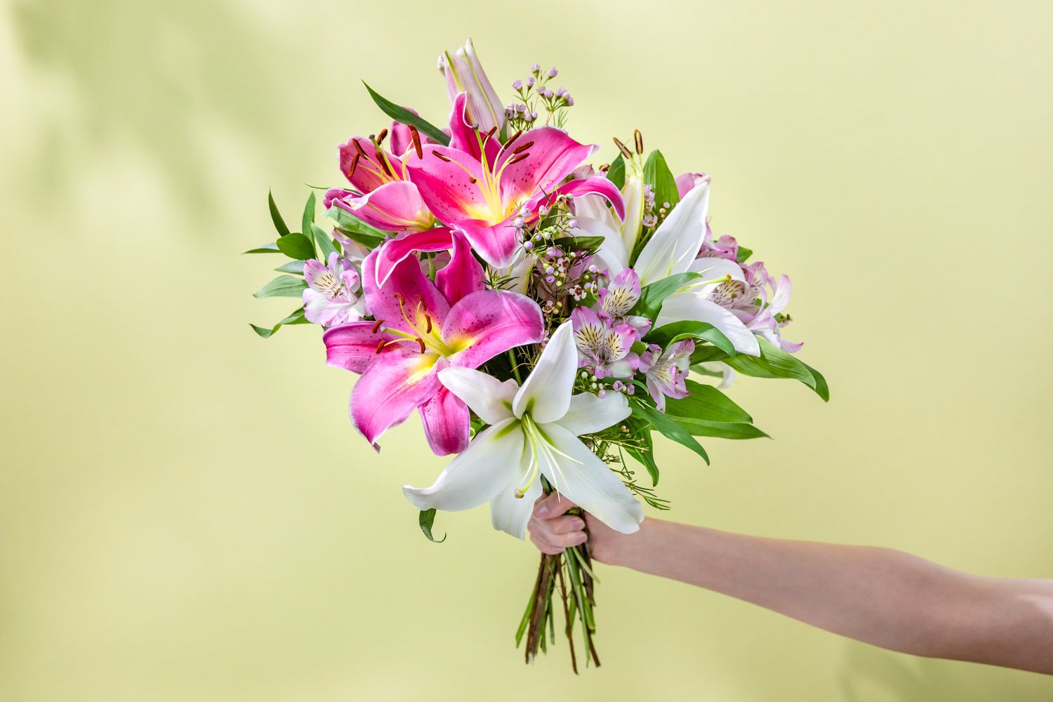 Die 7 besten Blumenabonnements für wiederkehrende schöne Blüten 30 Blumenabonnement des Clubs „Blume des Monats“.