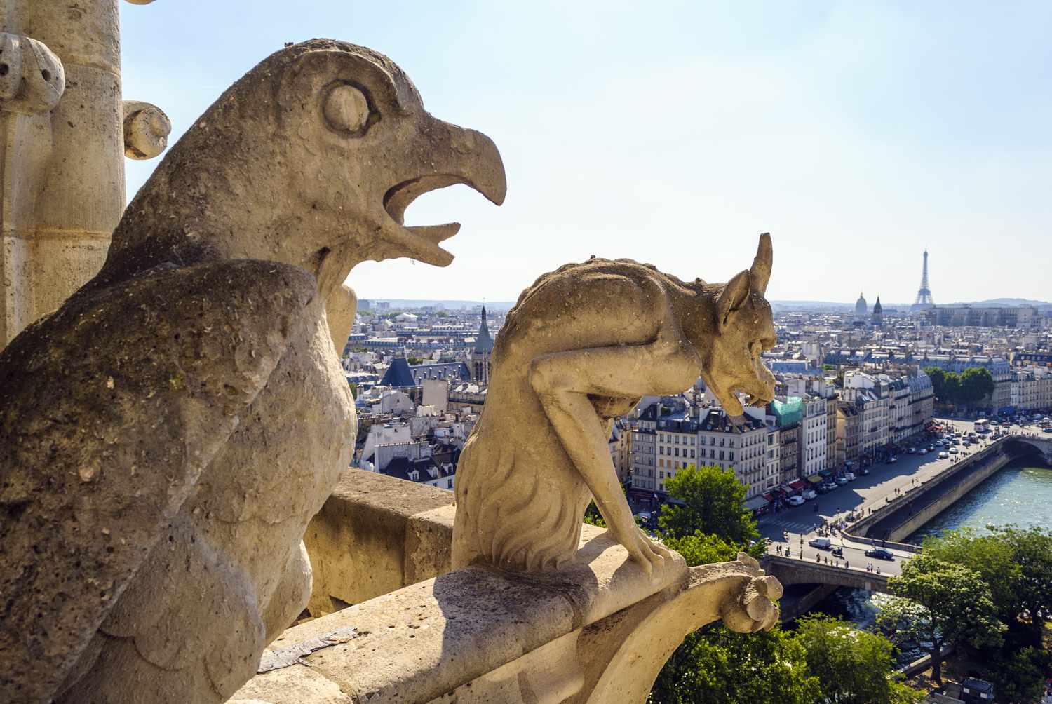 Was ist gotische Architektur? 10 Wasserspeier auf dem Dach von Notre Dame, Paris, Frankreich