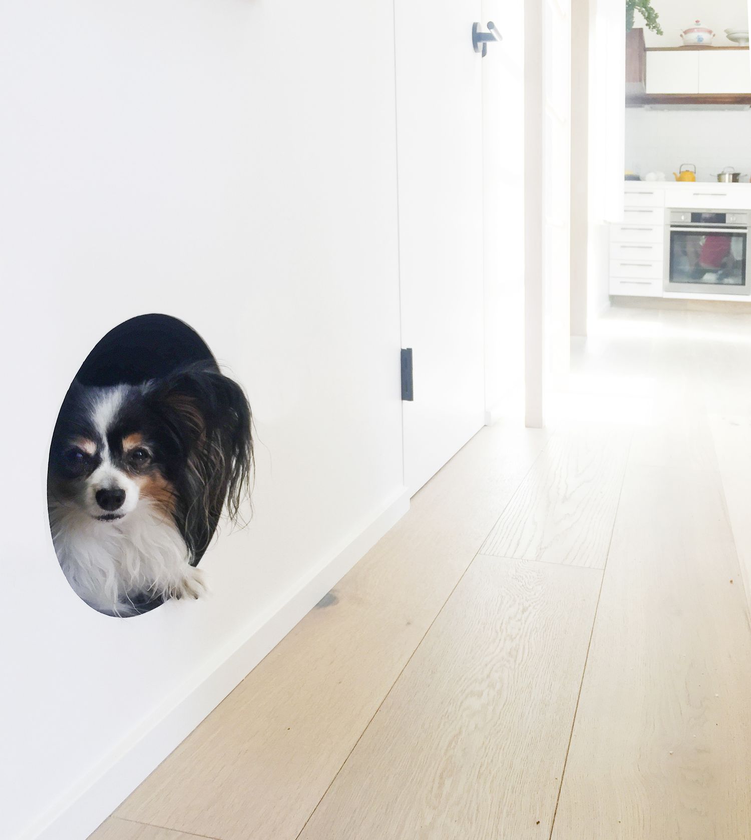 Geheimes Hundezimmer