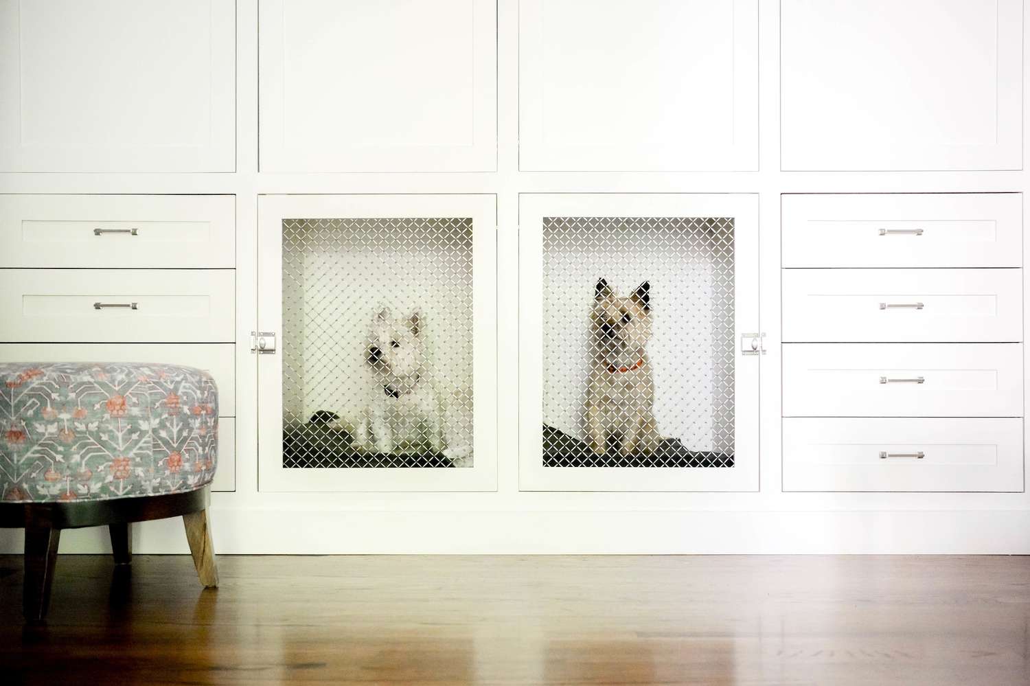 Ideen für ein Hundezimmer