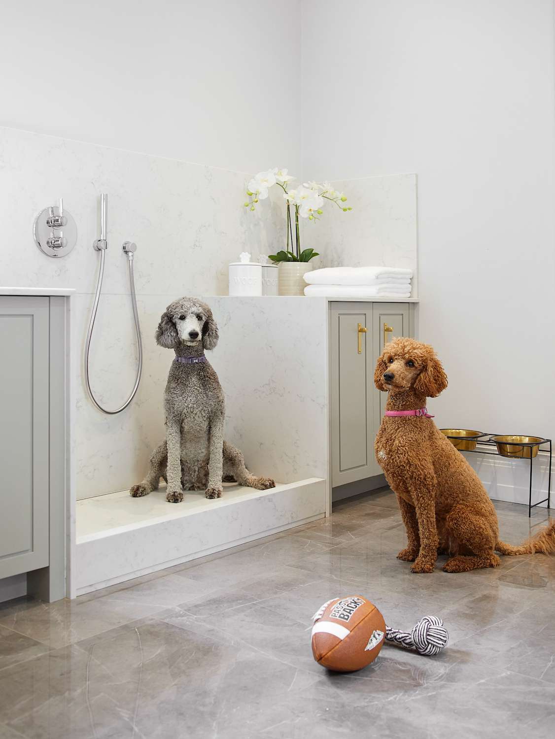 Ideen für ein Hundezimmer