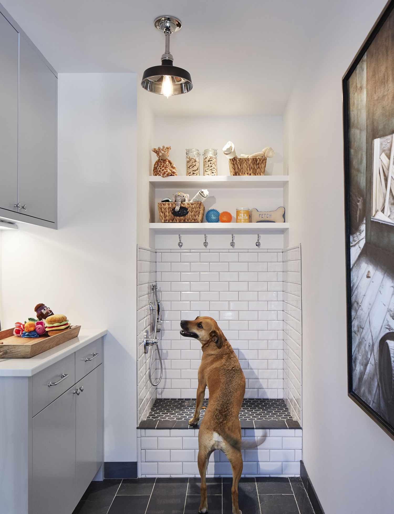 Hundezimmer-Dusche mit Futteraufbewahrung