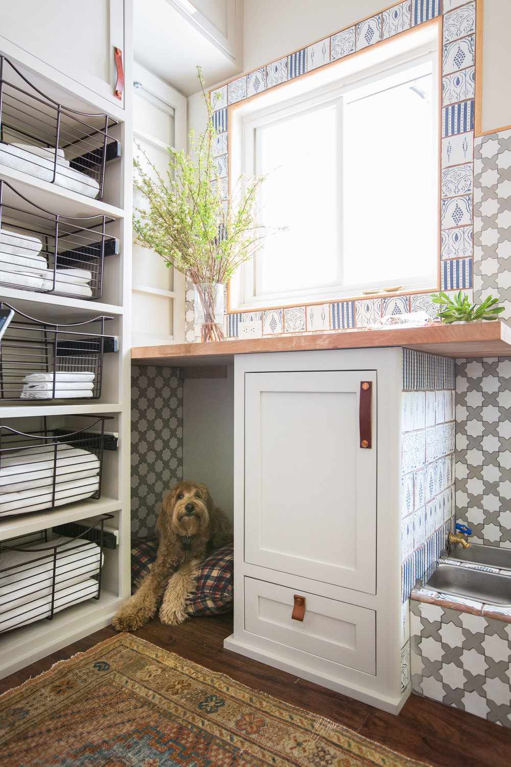 Ideen für ein Hundezimmer
