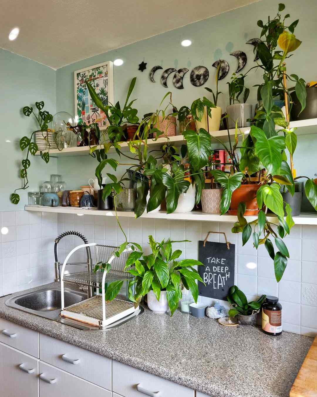 Pflanzenregale über dem Waschbecken hängen