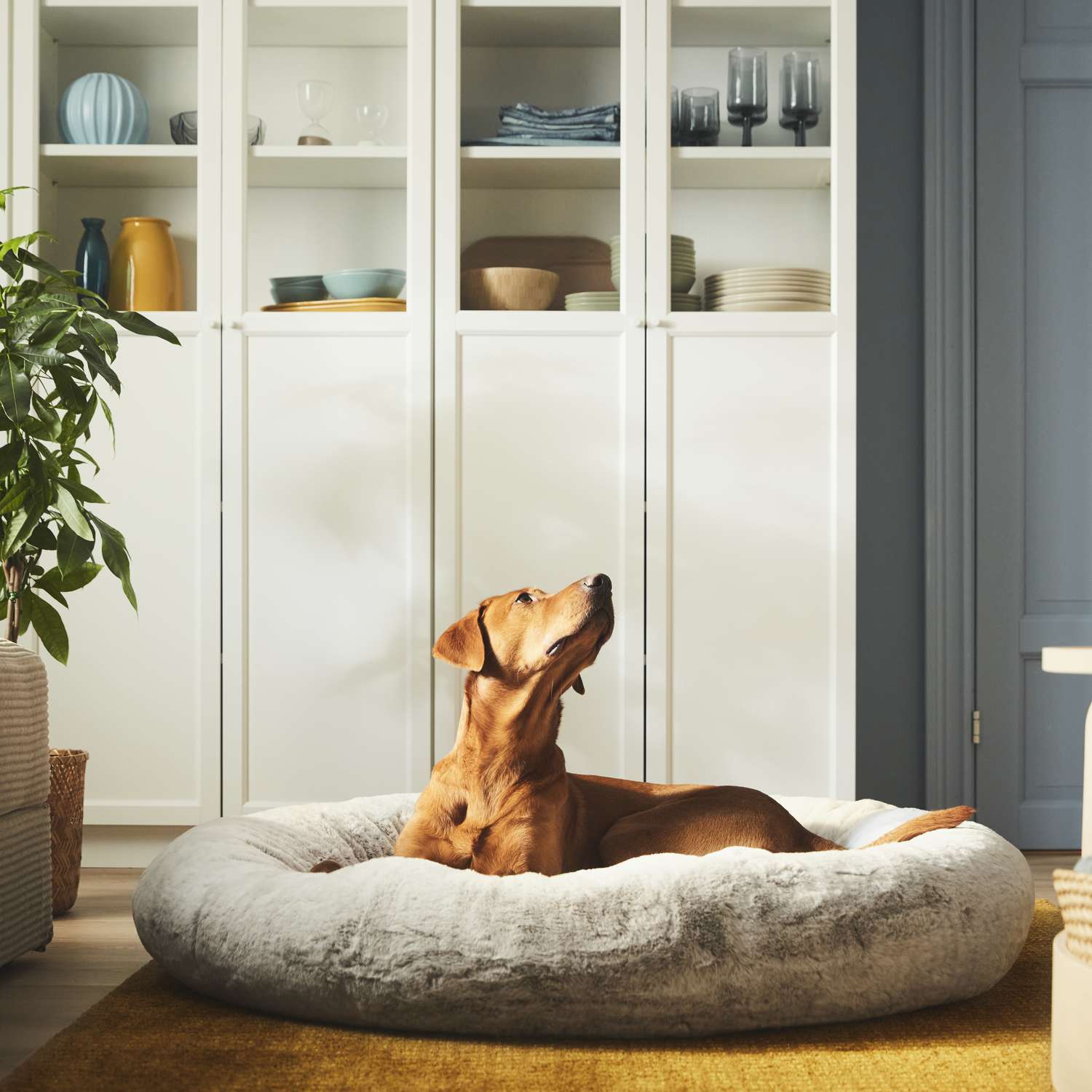 Die neueste Kollektion von IKEA bedeutet, dass das Dekor Ihres Haustieres genauso stilvoll sein kann wie Ihre 6 Hund sitzt im ikea Haustierbett
