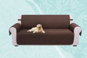 So verhindern Sie, dass Sofakissen verrutschen: 5 Methoden zum Ausprobieren 2 Der umkehrbare Sofabezug von U-NICE HOME auf einer Couch, auf der ein Hund liegt