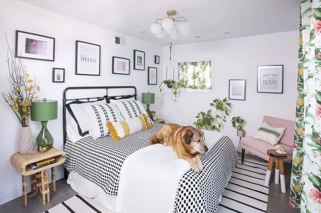 Schwarz -Weiß -Zimmer mit farbenfrohen Akzenten