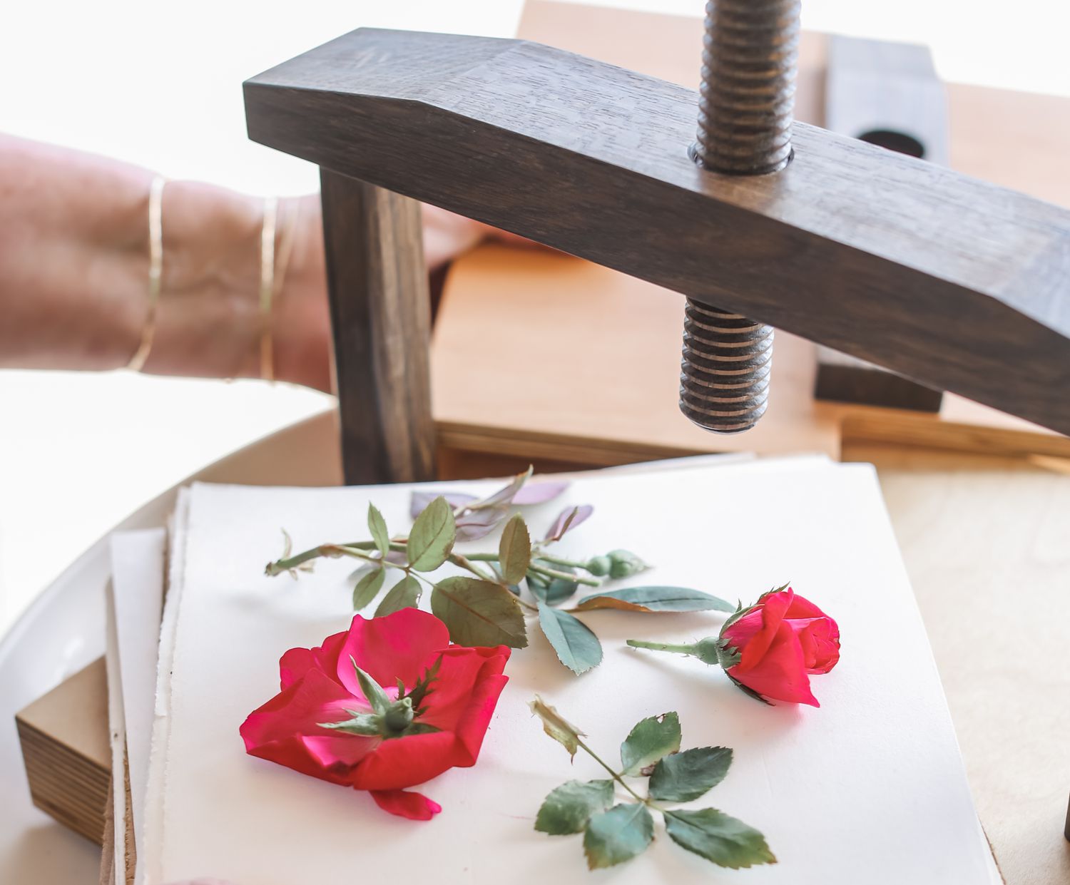 So drücken Sie Rosen 3 einfache Möglichkeiten, um lang anhaltende Erinnerungen zu machen 6 Rosen auf Blumenpresse