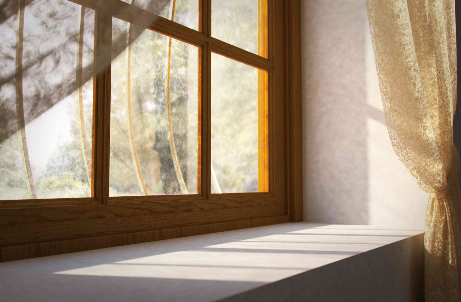 1740735763 10 Dinge die Sie niemals auf Ihre Fensterbaenke legen sollten