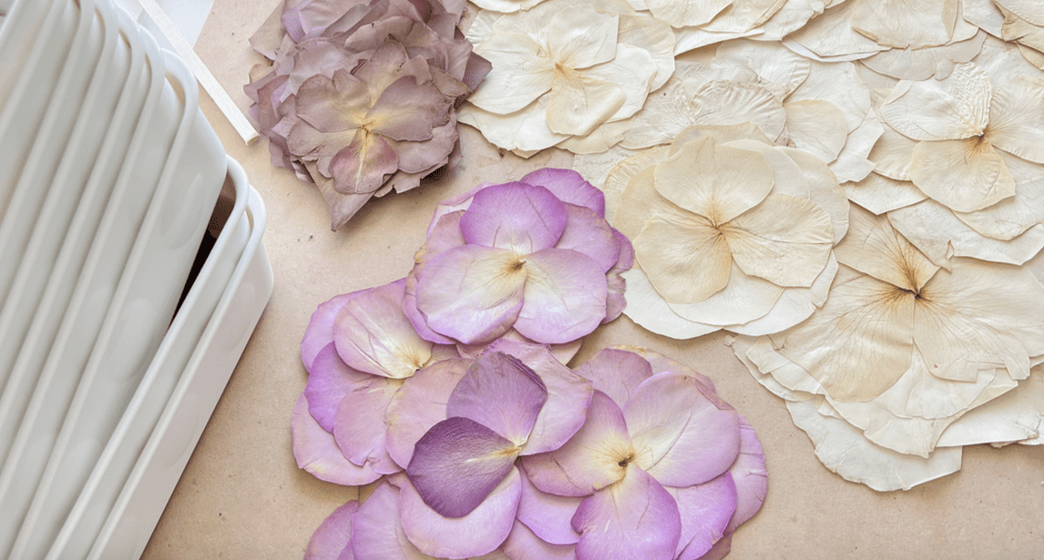 So drücken Sie Rosen 3 einfache Möglichkeiten, um lang anhaltende Erinnerungen zu machen 2 gepresste Rosen