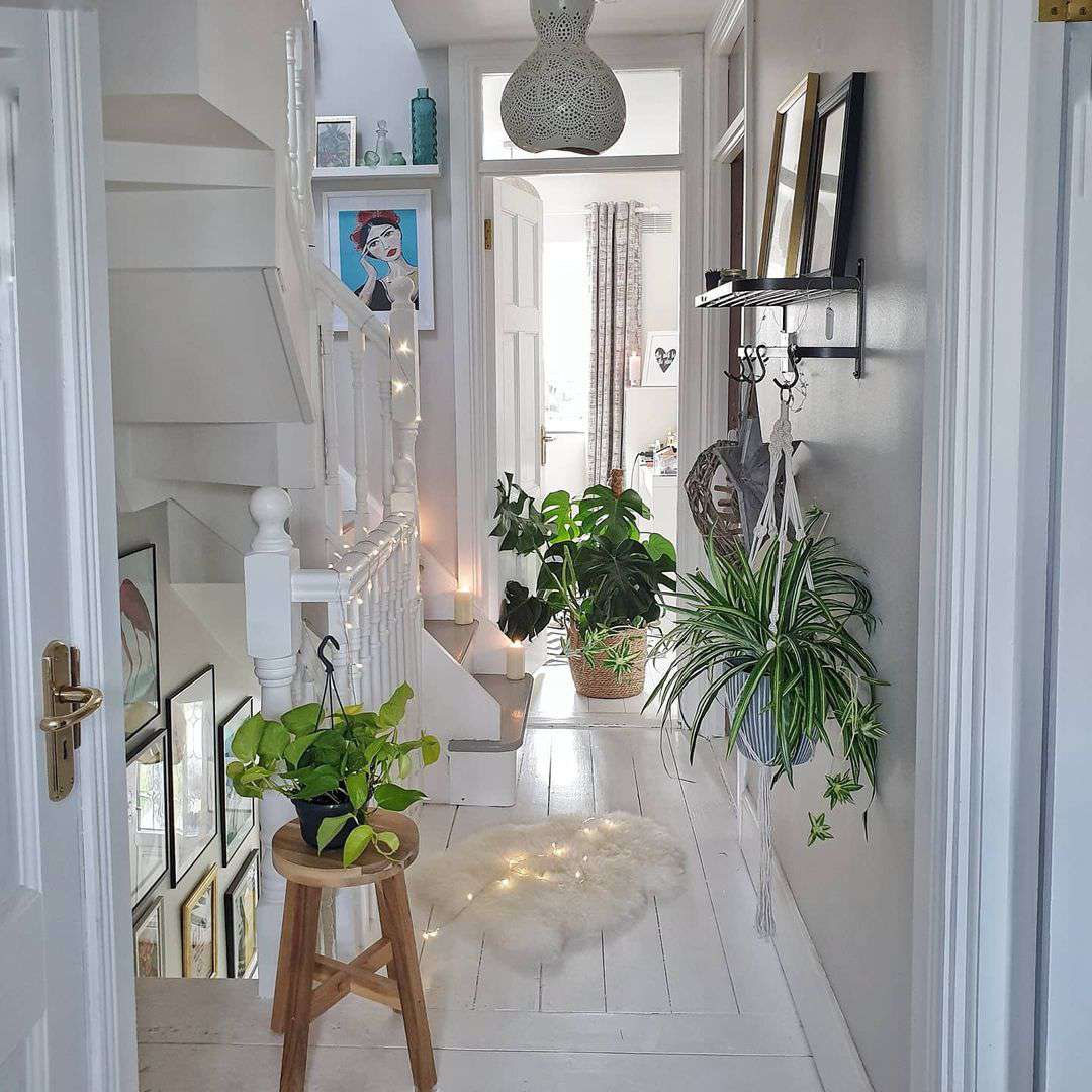 Hallway with plants and pictures on a picture ledge