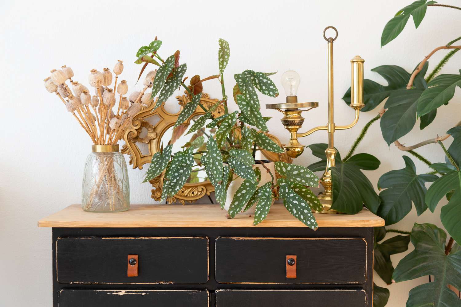 8 geniale Upgrades, um Zauber und Charakter zu jedem Haus für Bauunternehmen zu bringen 10 Philodendren auf Sideboard