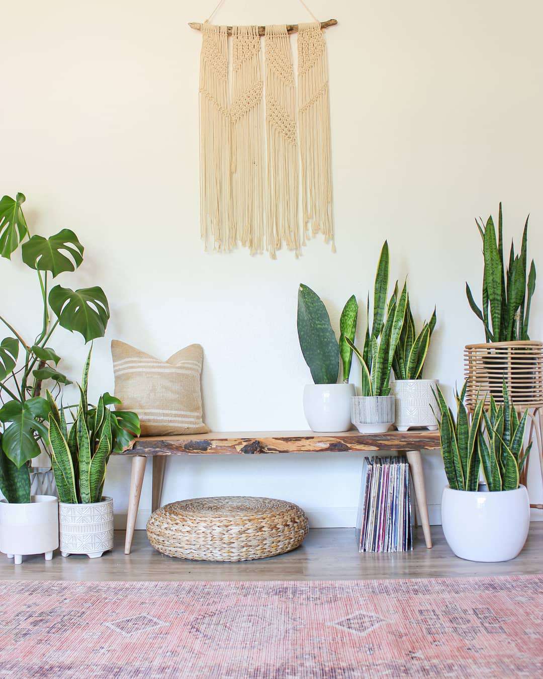 48 Small Sunroom Ideas for a Warm and Happy Space 92 Potted plants displayed around a wood bench and a macrame hanging on the wall