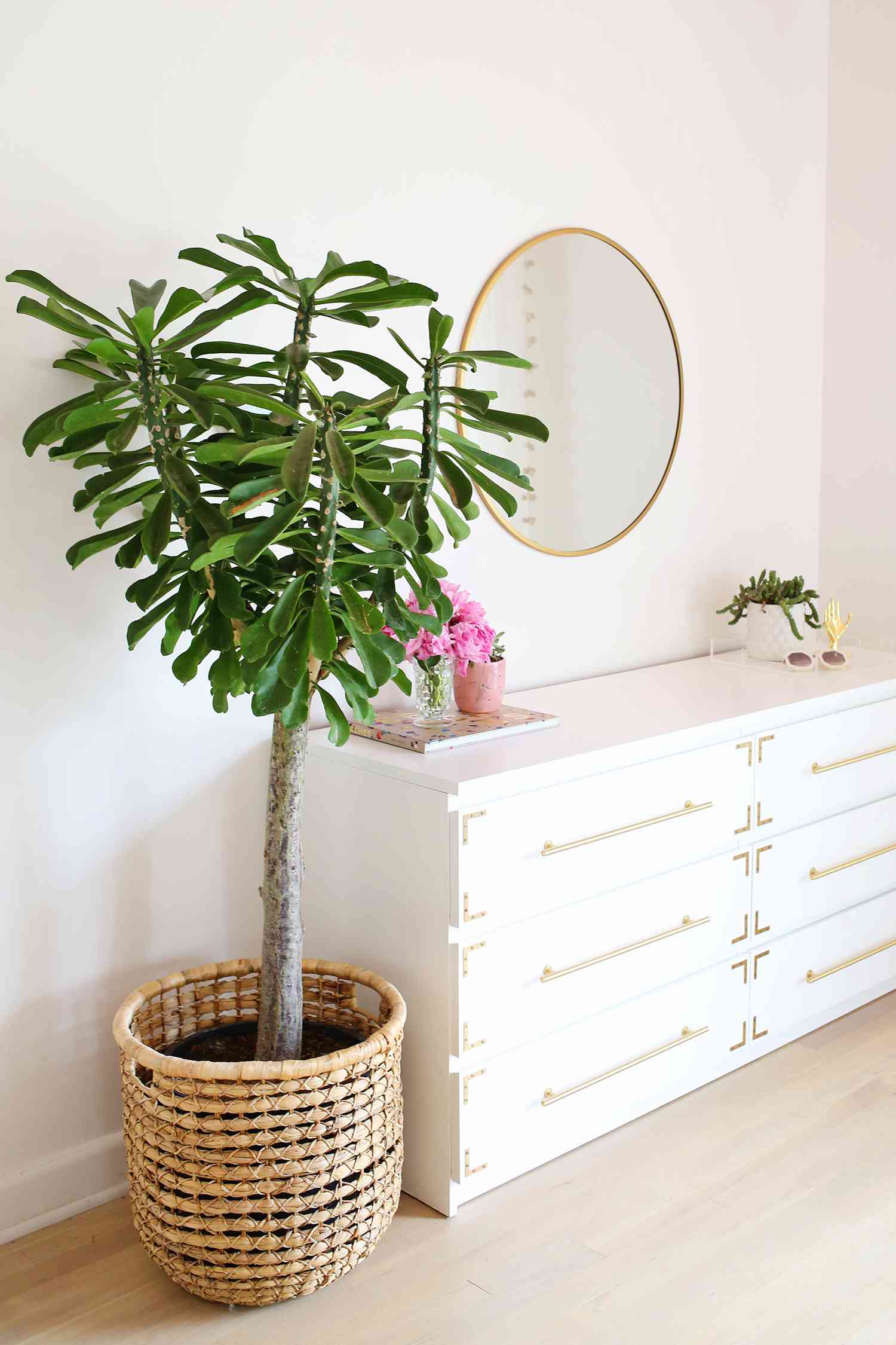 painted dresser hardware ideas