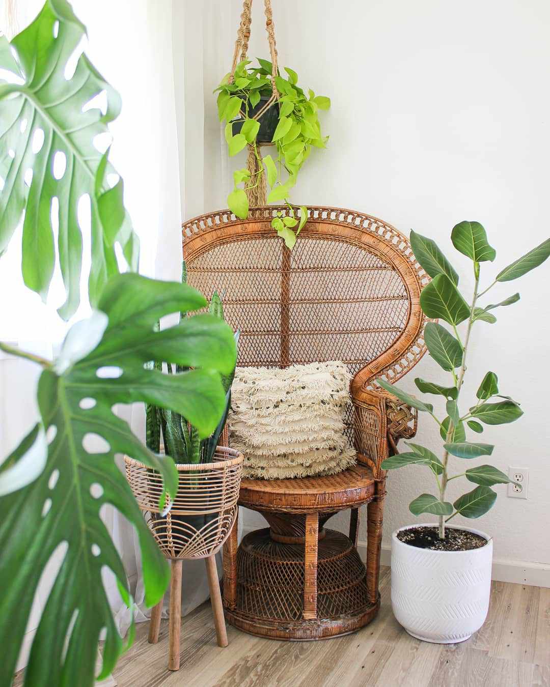 48 Small Sunroom Ideas for a Warm and Happy Space 6 Rattan chair and planter in a corner with live greenery around
