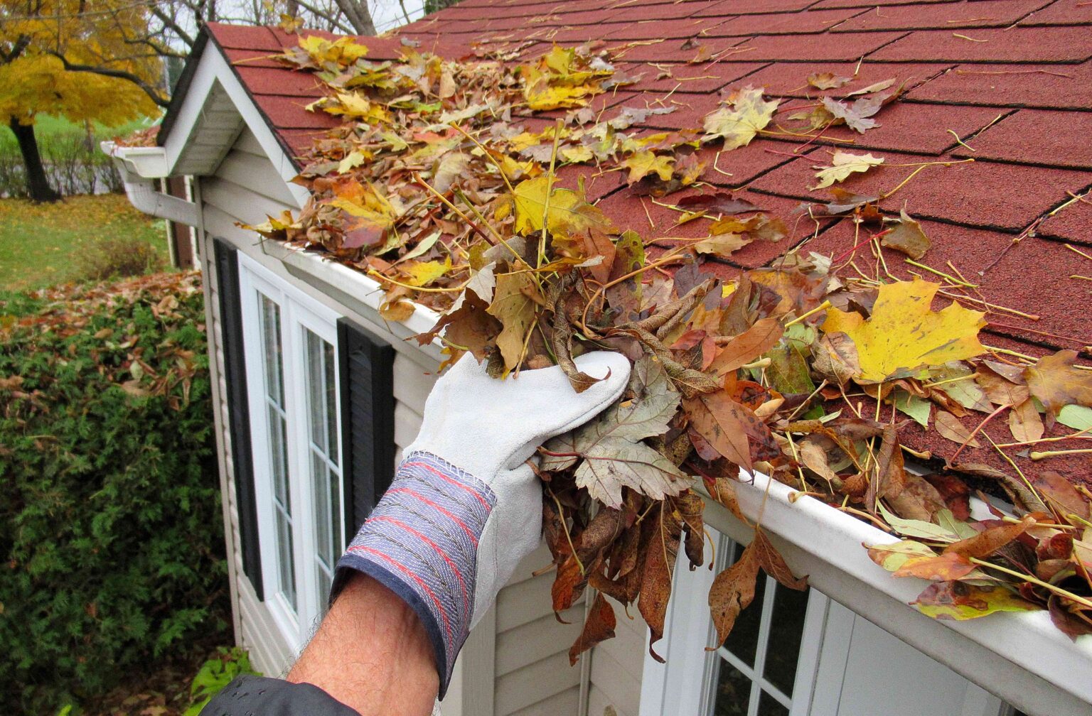 8 Aufgabenexperten vergessen nie vor dem Herbst manche koennten Sie