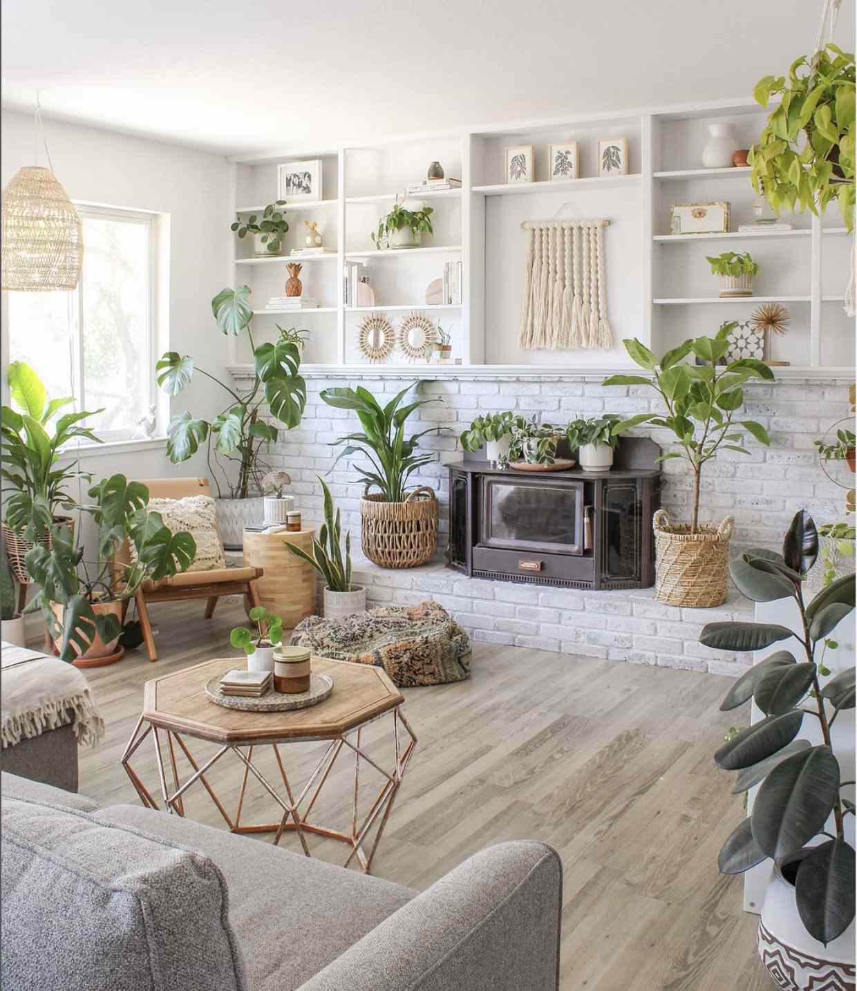 Boho Scandi Wohnzimmer mit Pflanzen