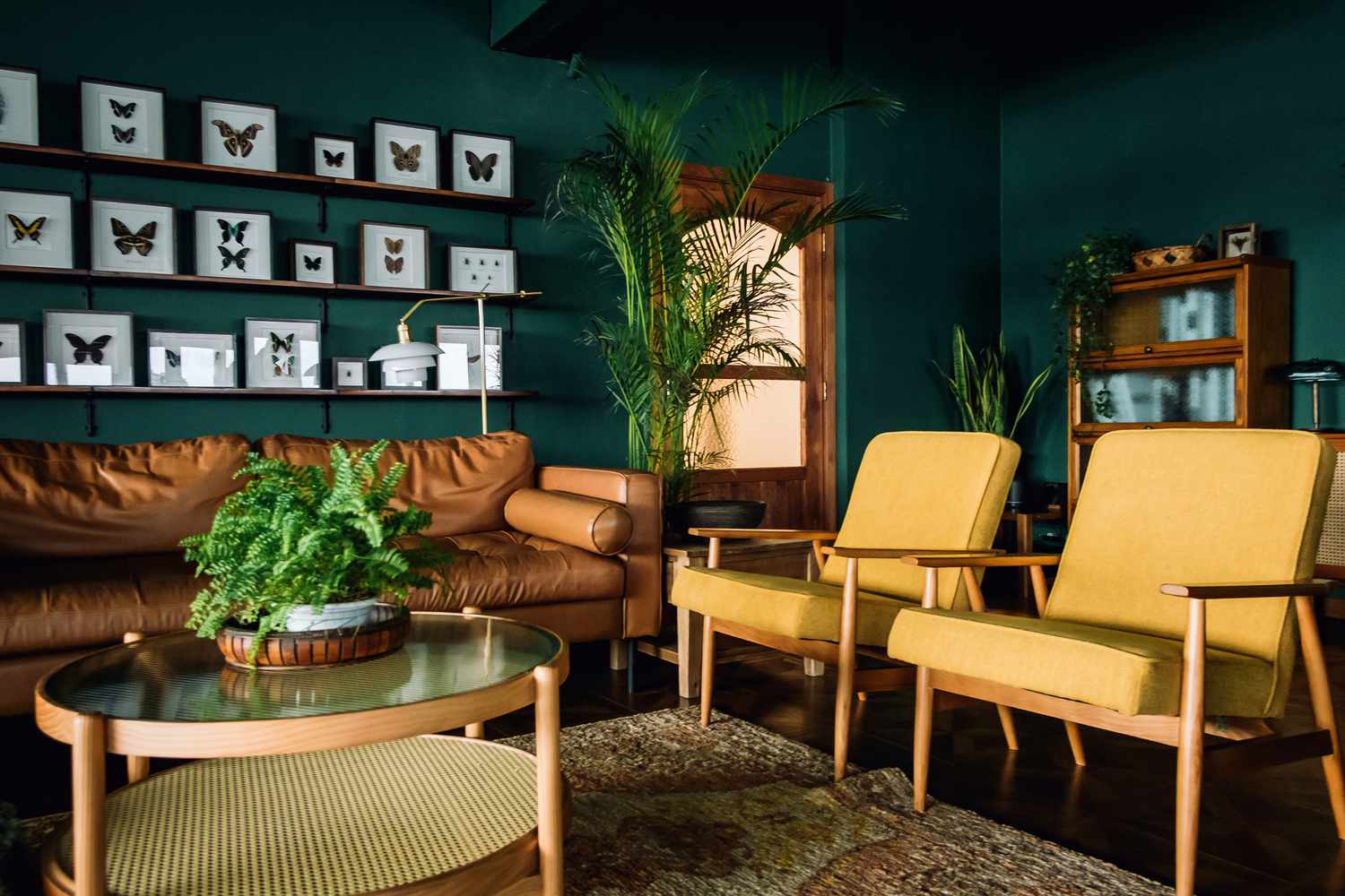 Ein stilvolles Wohnzimmer -Interieur mit braunen und gelben Möbeln und Holzelementen mit dunkelgrüner Wand. Mit Pflanzen und Schmetterlingsexemplaren dekoriert