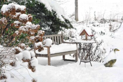 1746092986 7 Aussenartikel die Sie im Winter tatsaechlich draussen lassen sollten