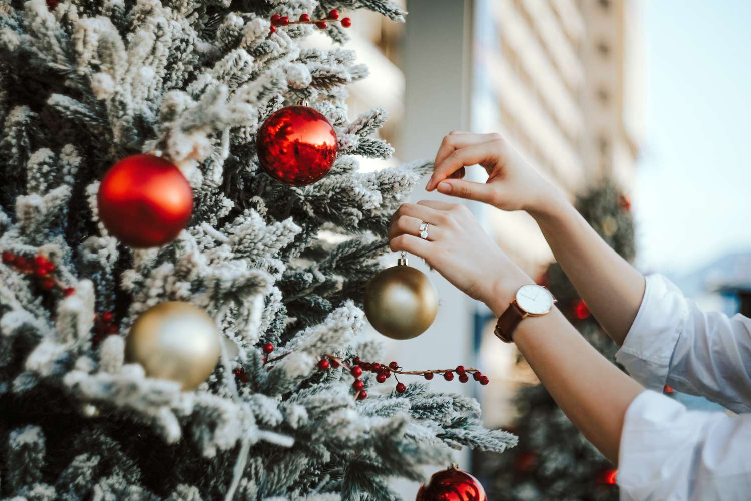 Was ist ein gefährter Weihnachtsbaum? Alles, was Sie über diesen Urlaubsgrund wissen sollten 6 Weihnachtsbaum dekorieren