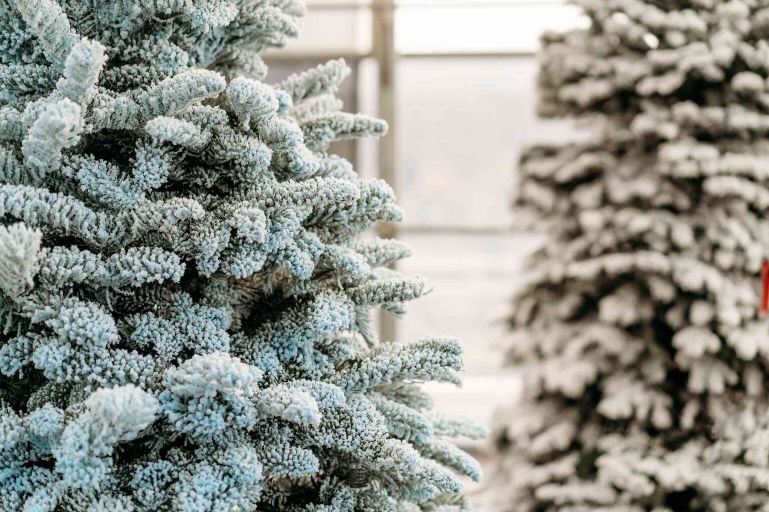 1747041507 Was ist ein gefaehrter Weihnachtsbaum Alles was Sie ueber diesen