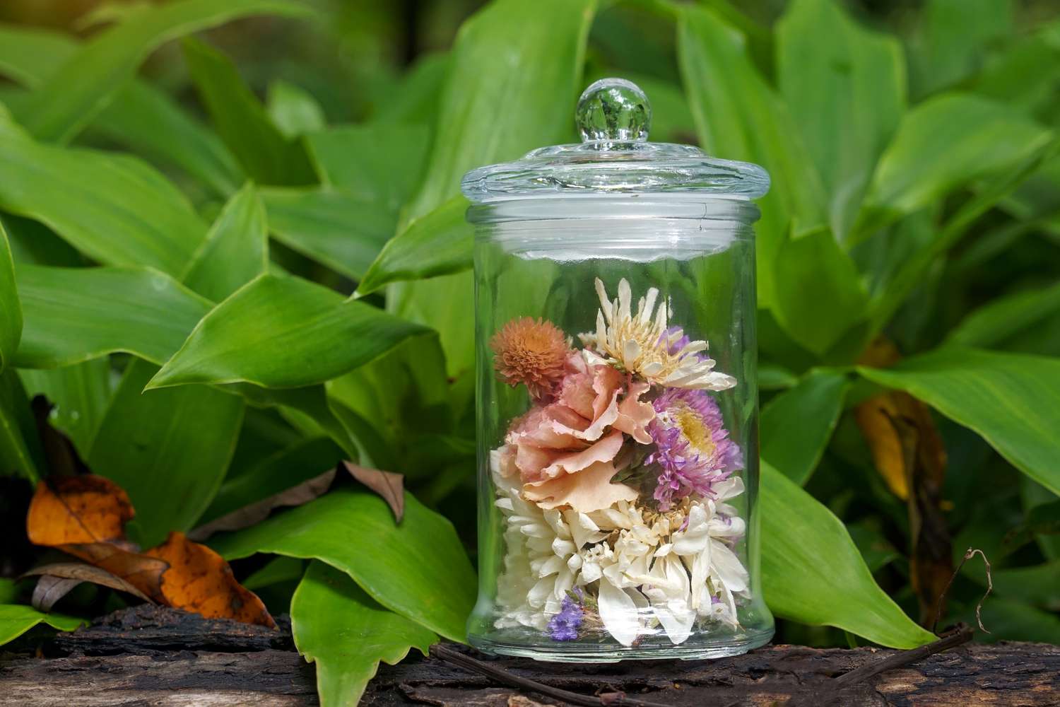 Frische Blumen in einem mit Kieselgel getrockneten Glas