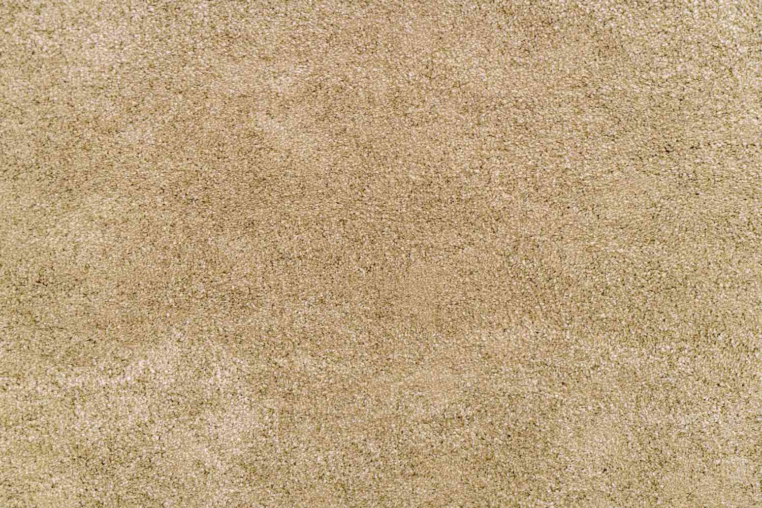 5 Teppichfarben, die laut einem Innenarchitekt so veraltet sind 8 Beige Teppich, Ausstrich Raffinesse und Wärme. Dieser Teppich aus Plüsch -Kunstfell bietet luxuriöse Weichheit und Textur