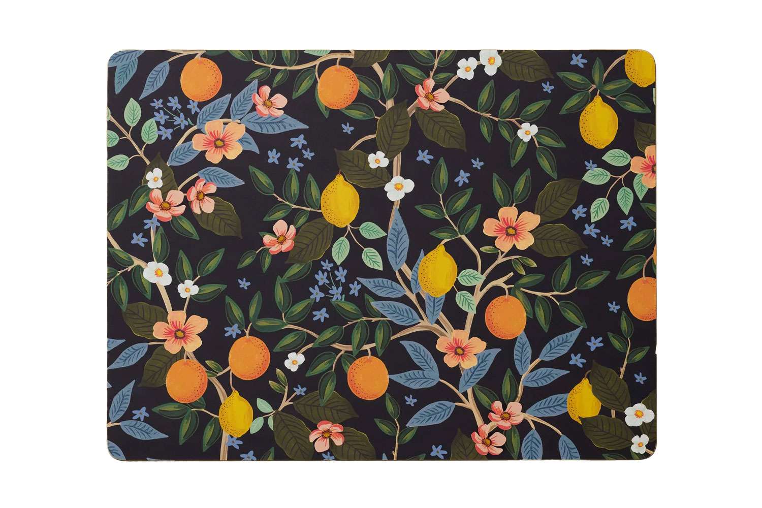 Die 16 besten Taschen von 2025 32 Gewehrpapier Co. Citrus Grove Cork -Taschens