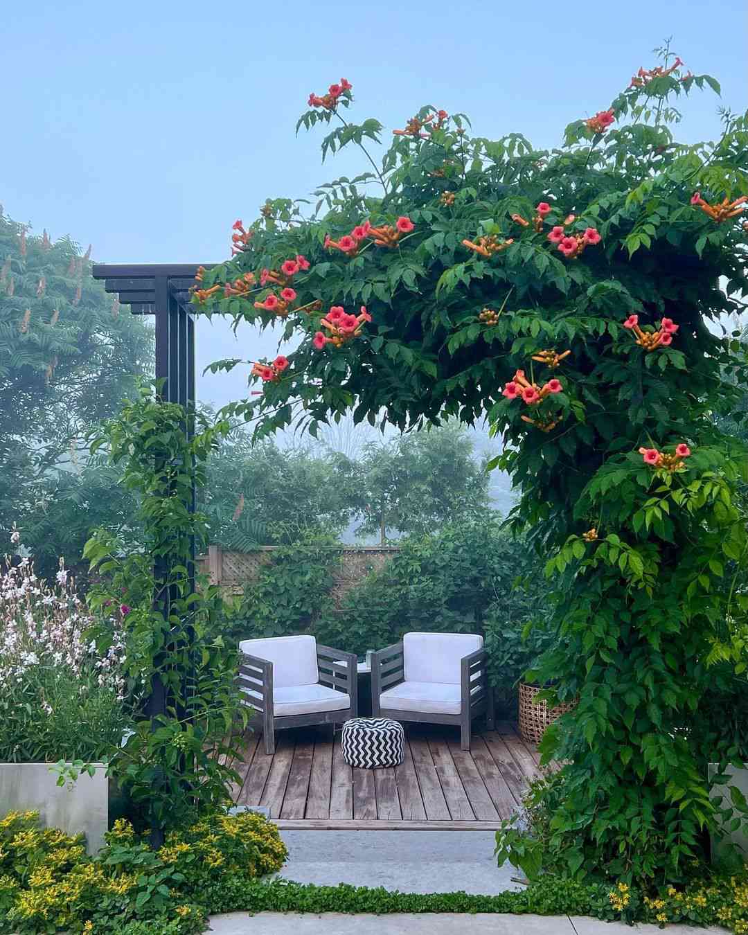 small backyard arbor ideas