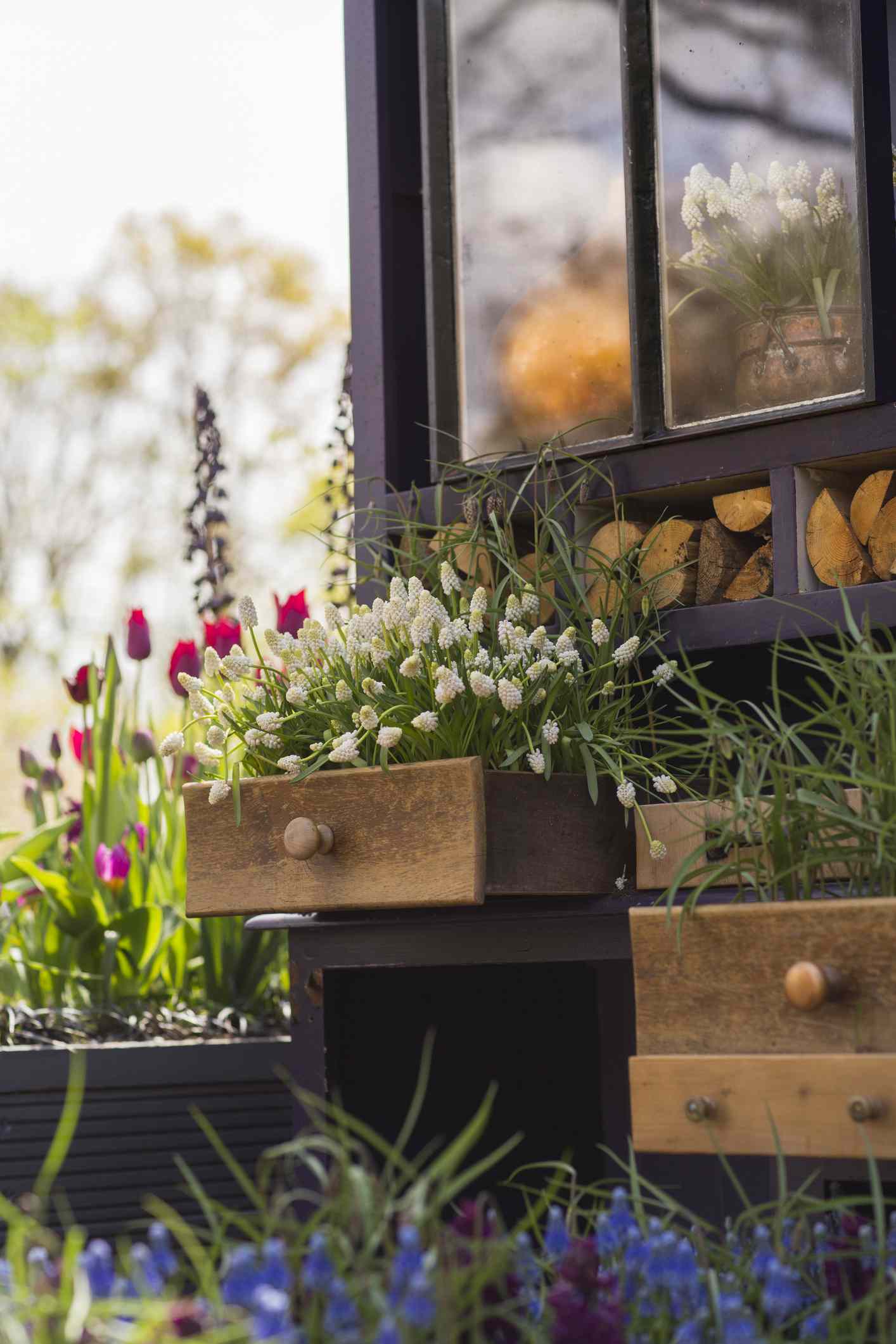 Holzschubladen mit Blumen, die in ihnen wachsen