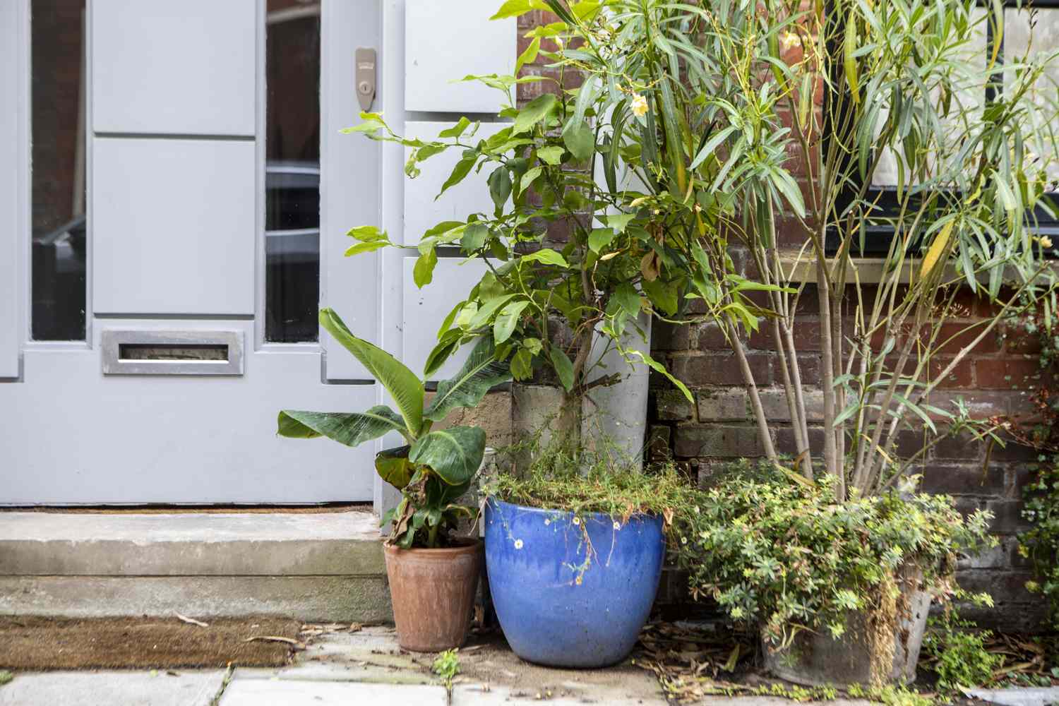 5 Common Front Yard Eyesores 10 mismatched planters in front of house