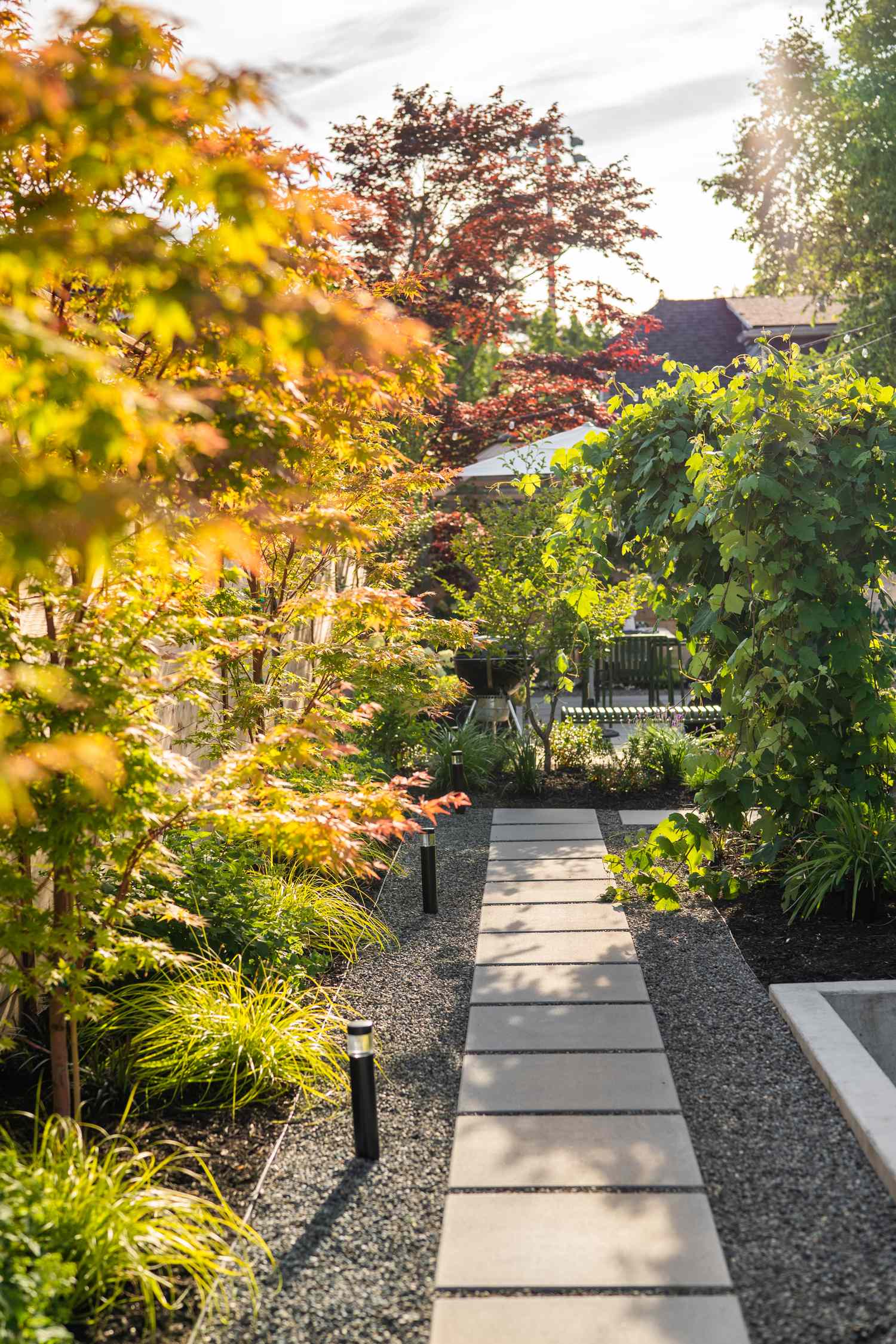 6 Backyard -Privatsphäre Korrekturen, die sich ohne den Preis luxuriös fühlen, sagen Designer, sagen Designer 14 Seattle Hinterhof mit Erbsenkies und Zementpflastersteine, japanischen Ahornbäumen und Rebedichtungsgitter Gitter