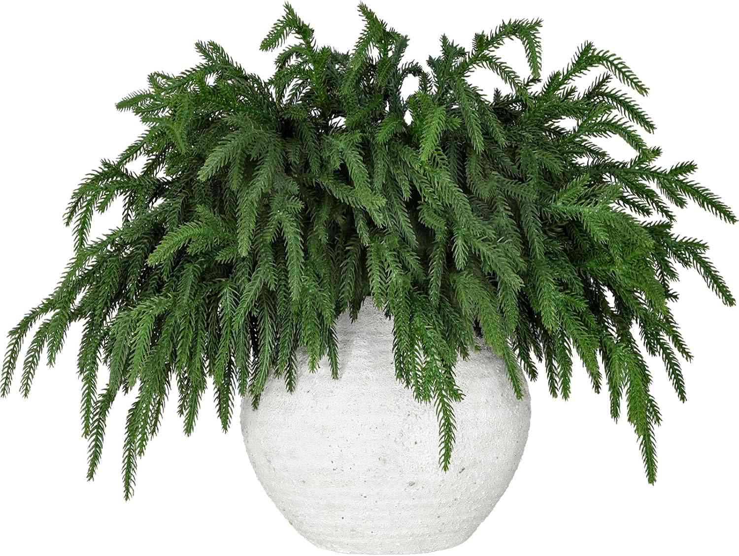 14 Amazon Holiday Decor findet Minimalisten, die immer kaufen werden, alle unter 65 US -Dollar 24 Kiefernzweige