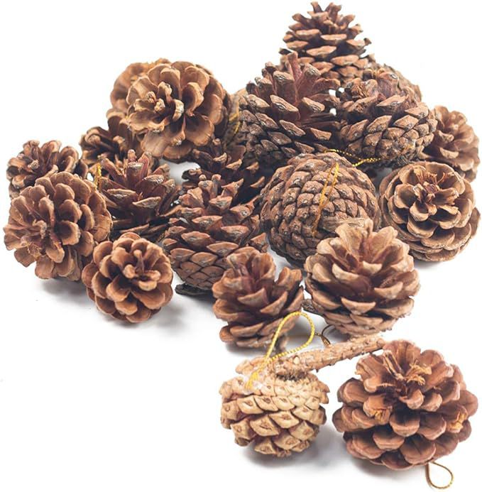 14 Amazon Holiday Decor findet Minimalisten, die immer kaufen werden, alle unter 65 US -Dollar 22 Titzen