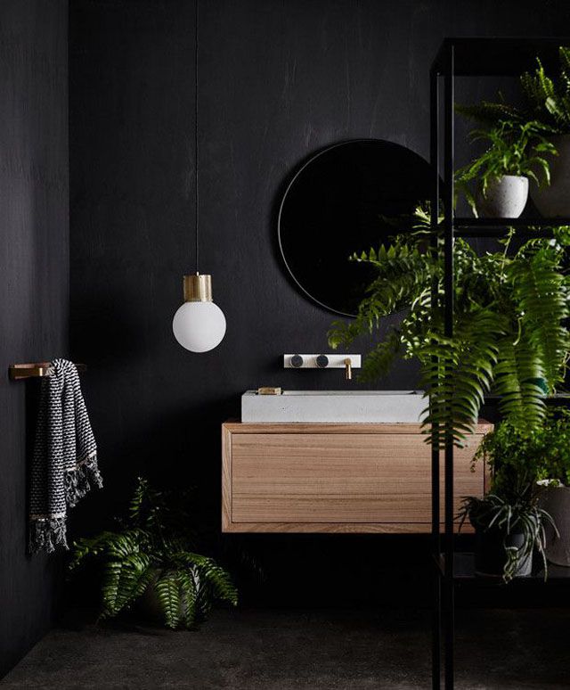 Black Bathroom With Plants