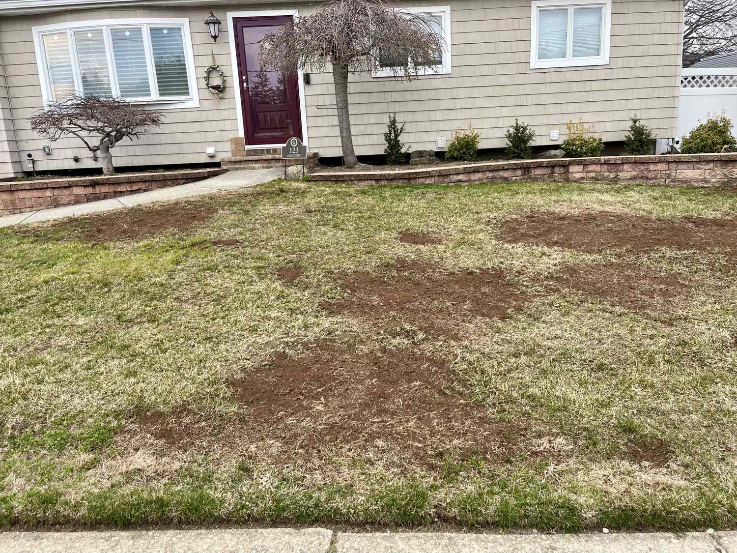 5 Common Front Yard Eyesores 2 lawn that's patchy