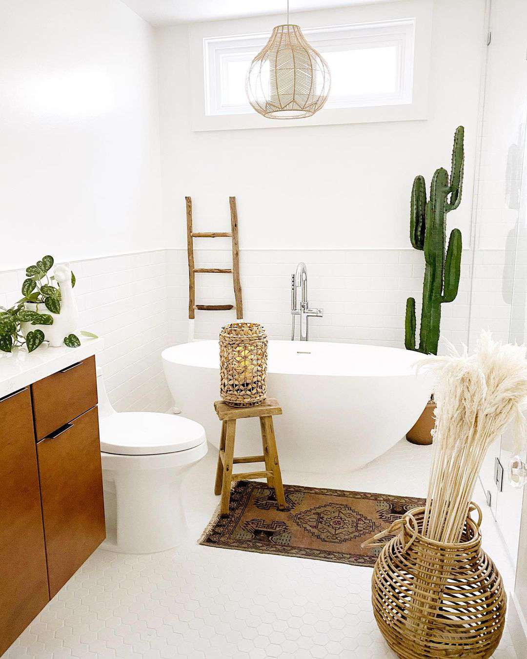 Cactus decor in a bathroom