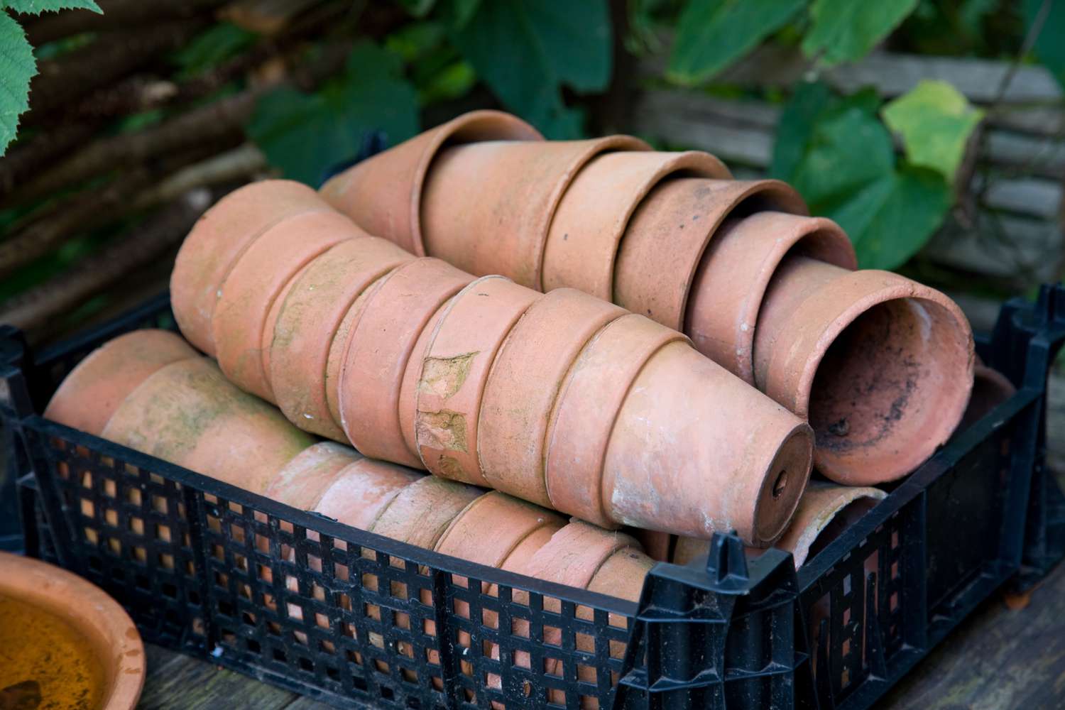 Terrakotta -Blumentöpfe bereit für einen geschäftigen Frühlingsgarten