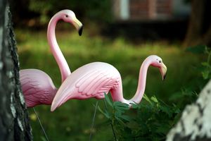 Wir fragten Designer, ob Wurfkissen immer zu Ihrem Teppich zustimmen sollten - sie waren sich alle einig 4 Plastik rosa Flamingos in einem Rasen