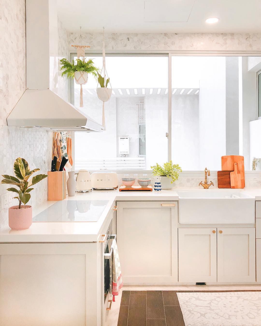 kitchen sink window with hanging plants